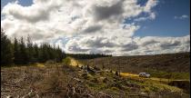 Pirelli Rally